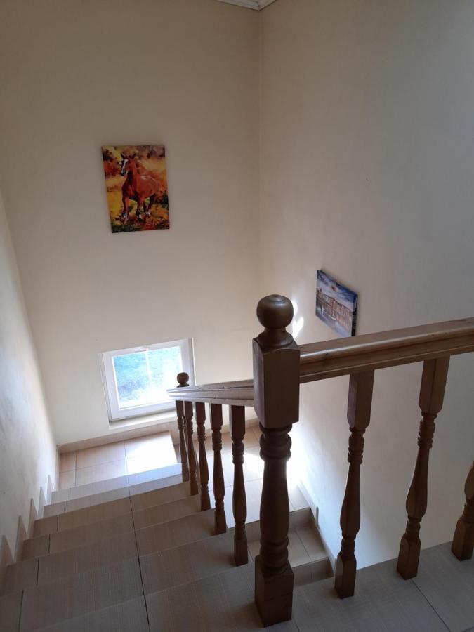Yana Guest House Dobrinishte Ngoại thất bức ảnh